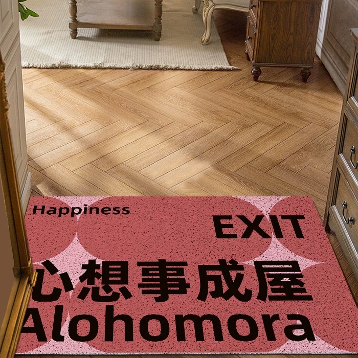 创意任门进丝圈地垫玄关脚