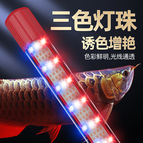 三鱼缸灯照明灯led防水潜水灯专用水族箱led灯管节能龙鱼灯全光谱