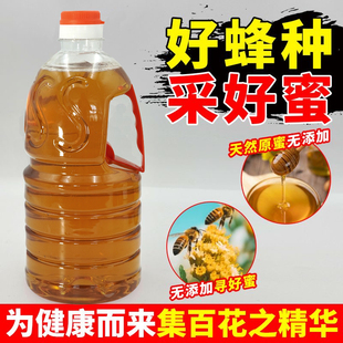 五正宗峰 土蜂蜜农家自产百花大桶装 5斤装 蜂蜜纯正天然野生大瓶装