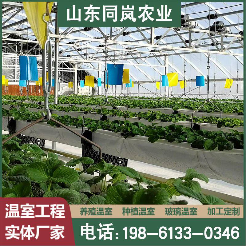 空中草莓无土栽培设备水培种植蔬菜种植挂在空中草莓立体种植槽