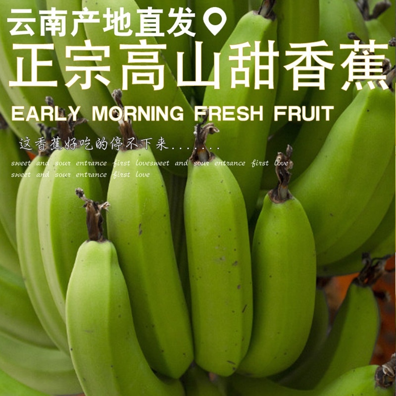 推荐甜糯香蕉高原农家自种不打药