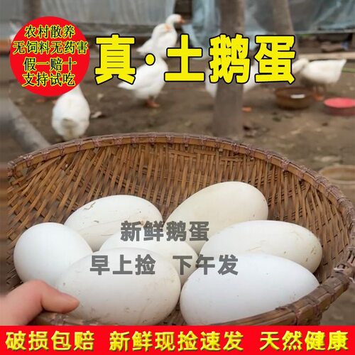 12枚特大生鹅蛋220-260克双黄蛋正宗土鹅蛋农家散养新鲜孕妇精品