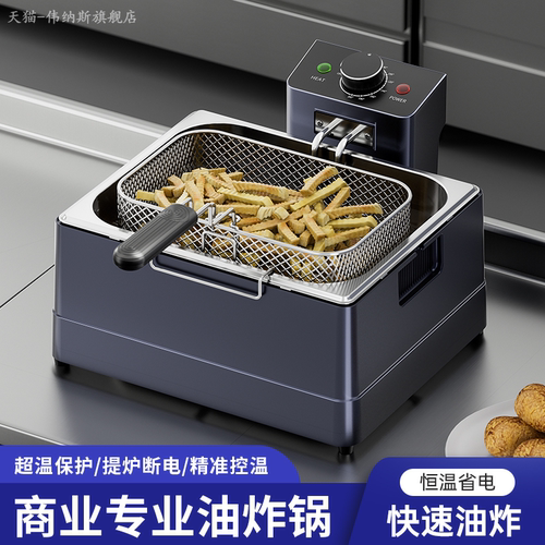 伟纳斯商用电炸炉油炸锅
