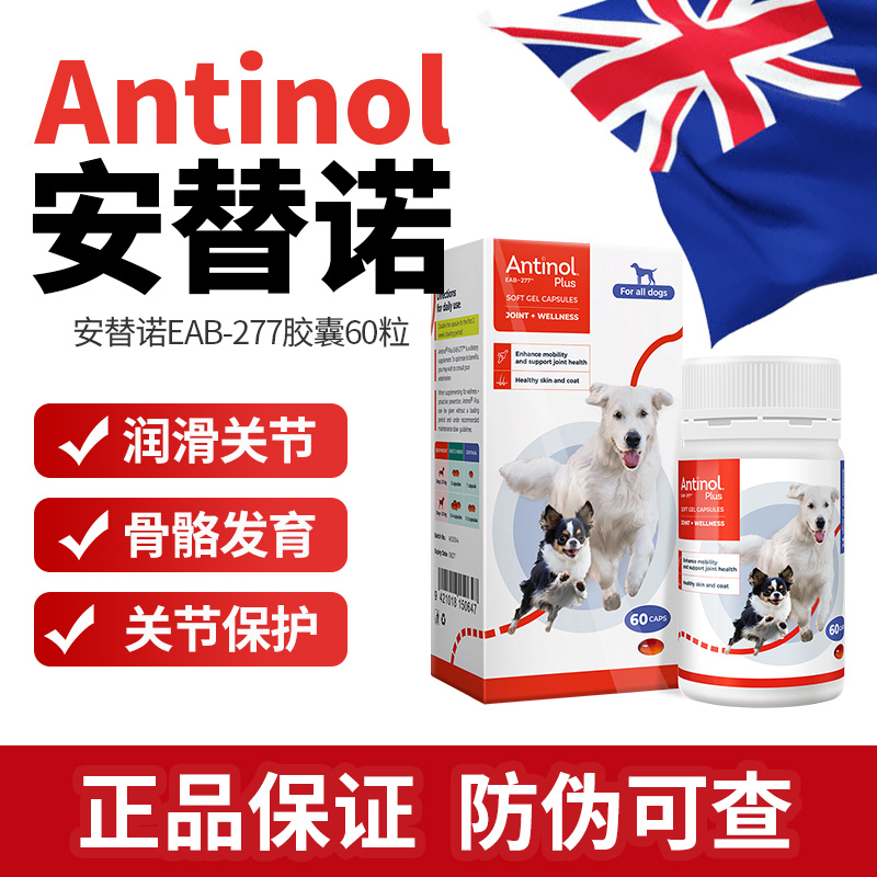 安替诺Antinol277软骨素髌骨脱位猫狗润滑关节腰椎骨刺瘸腿安它诺