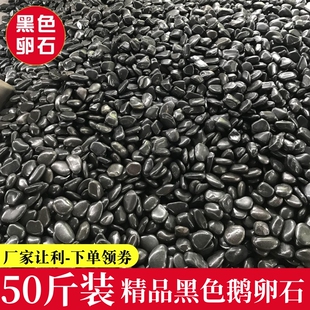 黑色鹅卵石大小黑石头庭院铺地铺路花园造景天然雨花石原石鹅软石