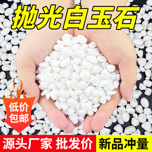 天然砾石庭院白石子造景颗粒抛光暖白色鹅卵石铺地装饰花园小石头