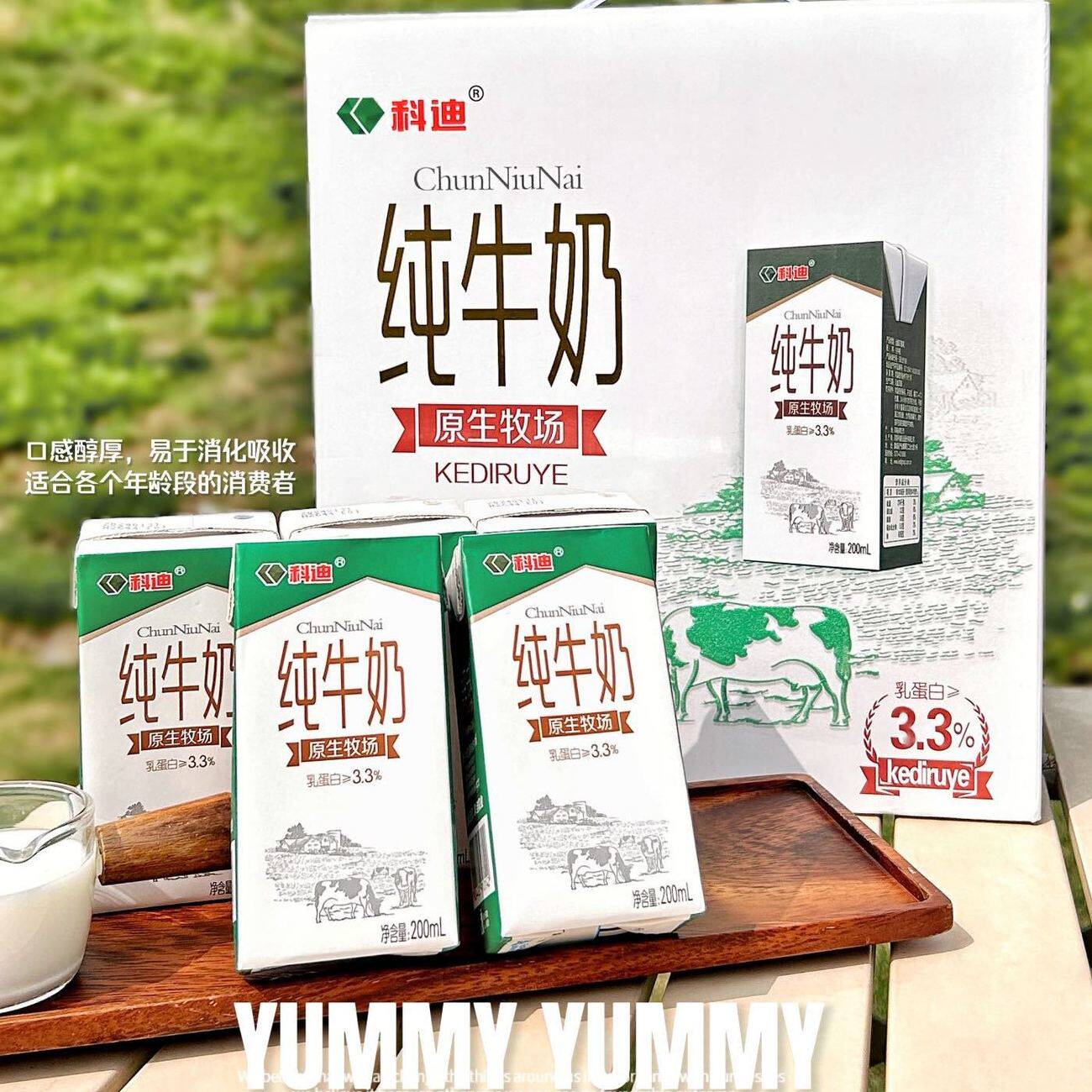 科迪纯牛奶希腊酸奶整箱礼盒