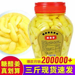 嫩姜芽新鲜爽口泡仔姜泡酱菜特产
