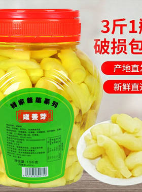 嫩姜芽醋泡生姜鲜嫩姜芽酱菜特产