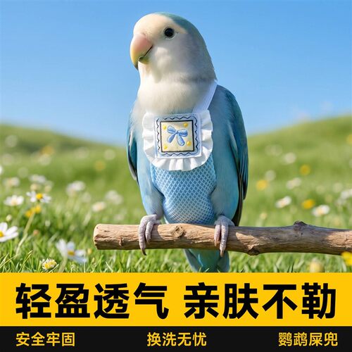 鹦鹉屎兜小鸟尿不湿夏季透气和尚牡丹玄凤纸尿裤神器小太阳放飞绳