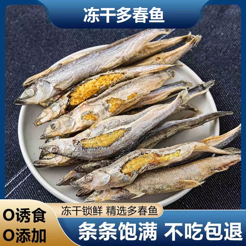 冻干多春鱼宠物猫零食小鱼干肉干补成猫幼猫拌粮宠物狗零食鱼籽