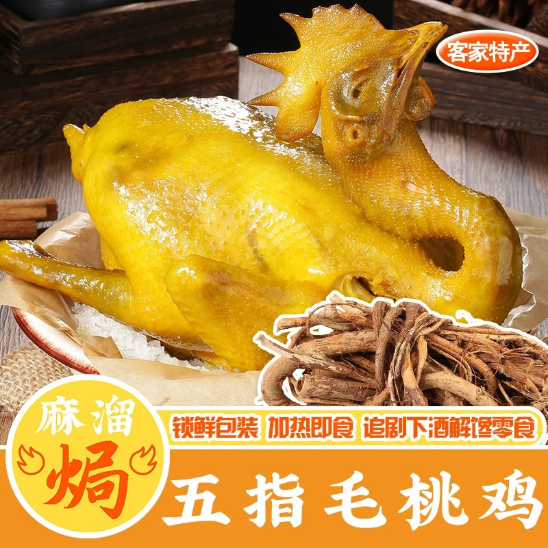 五指毛桃香鸡正宗特产盐焗白切鸡鸡肉零食