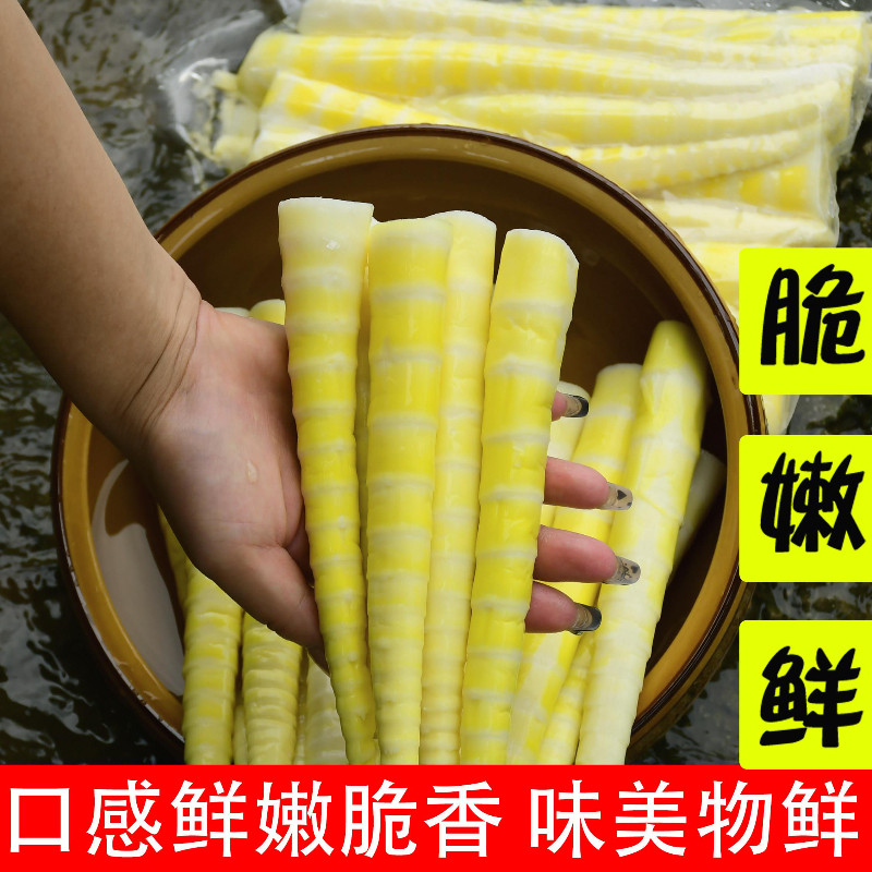 新货的四川小竹笋新鲜春笋罗汉笋嫩笋尖火锅笋子干方竹笋商用批发