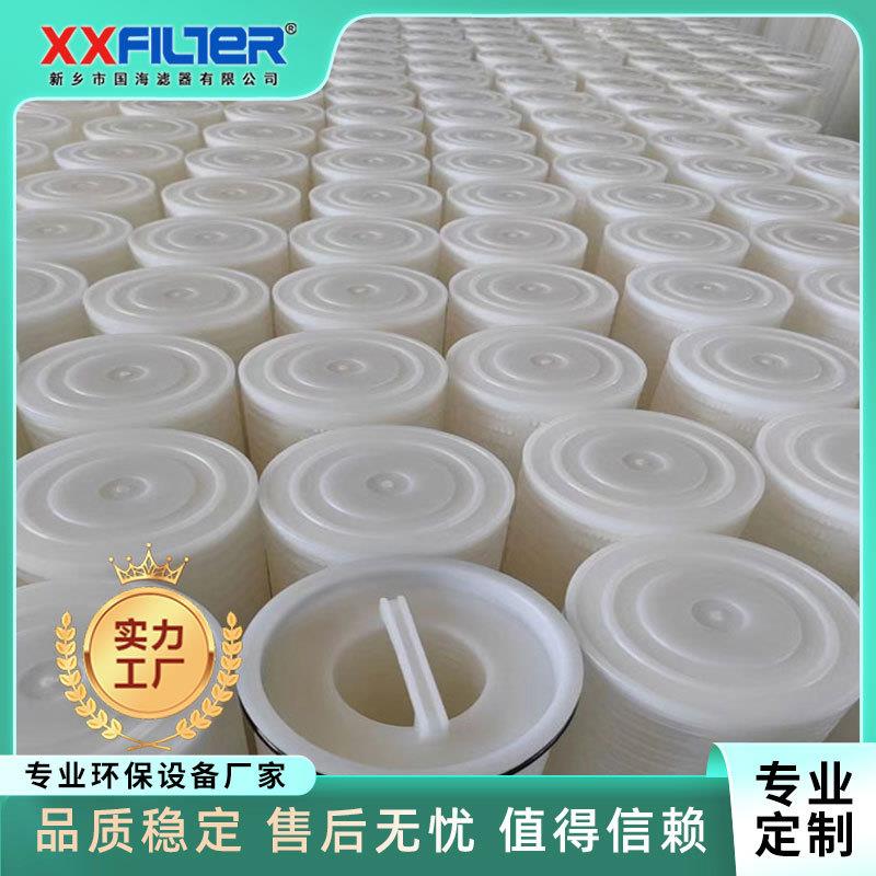 国海保安过滤器大通量滤芯 PPHF64H100E 工业污水过滤 精度高