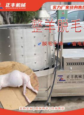 圆筒式100型牛蹄脱毛机跨境猪牛羊头打毛机厂家 可定制猪蹄脱毛机