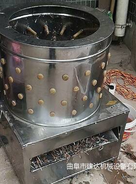 小型脱毛机鸡鸭鹅拔毛加工 不锈钢家禽打毛机多少钱 电动褪毛机