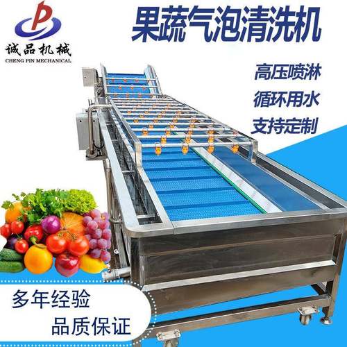大型净菜加工洗菜机果蔬海鲜气泡清洗机鱿鱼小龙虾喷淋式清洗机