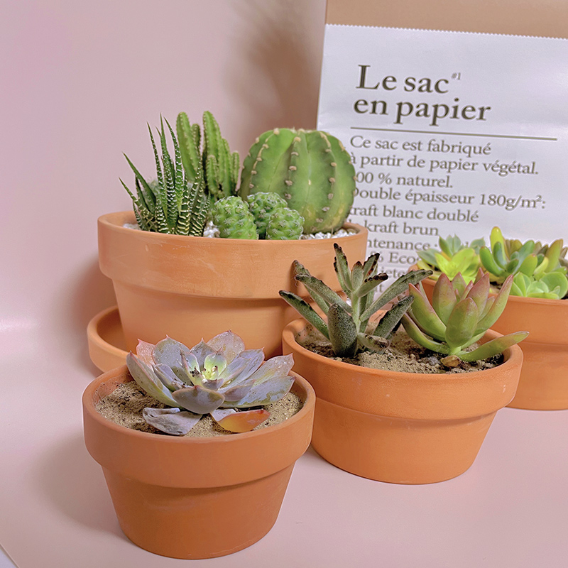 陶瓷红陶多肉矮盆透气透水圆形瓦盆大小花盆组合绿植花盆清仓包邮,鲜花速递/花卉仿真/绿植园艺,花盆,淘宝优惠券,粉丝福利购,淘宝优惠卷