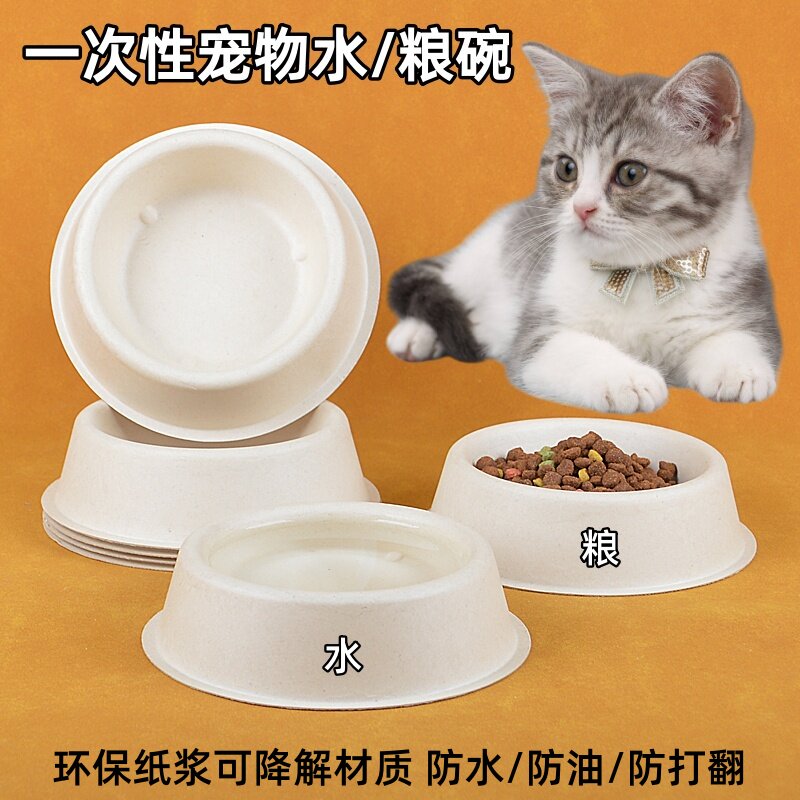 猫食碗一次性宠物户外防雨水饭碗图片