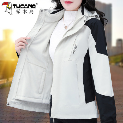 啄木鸟户外冲锋衣女款外套三合一