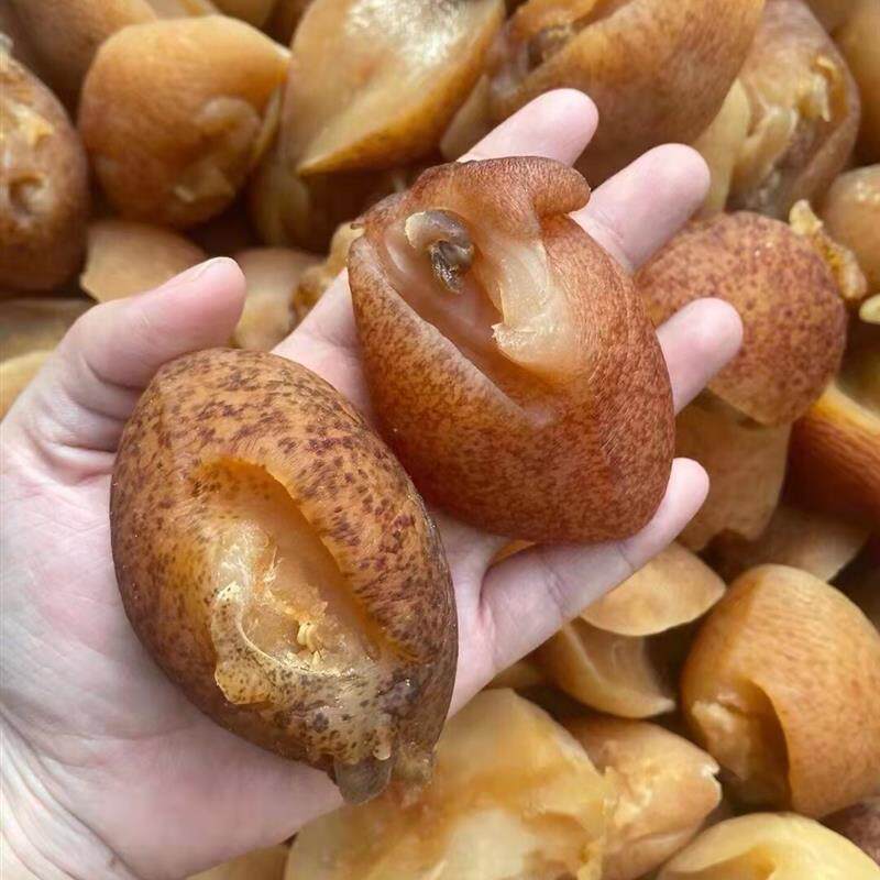 热销精选螺头500g海干海螺片鲍鱼肉碎海鲜汤配料