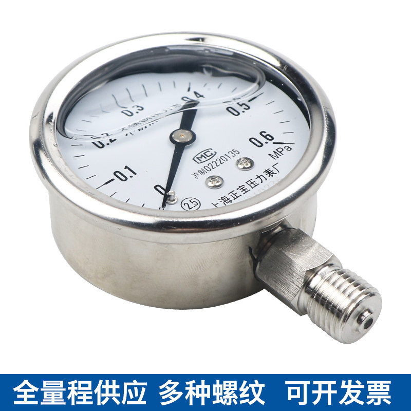 不锈钢耐震压力表 YN60BF 10barPT1/4 材质304 蒸汽 耐高温压力表