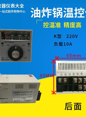 油炸锅温控仪温控器温度控制器温控表TEPD72-8001B