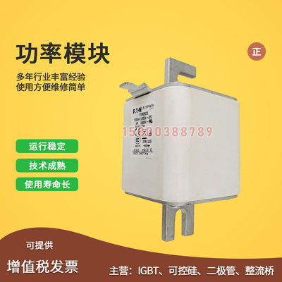 170M8630/8631/8632/8633/8634/8635/8636/8637快速保险丝熔断器