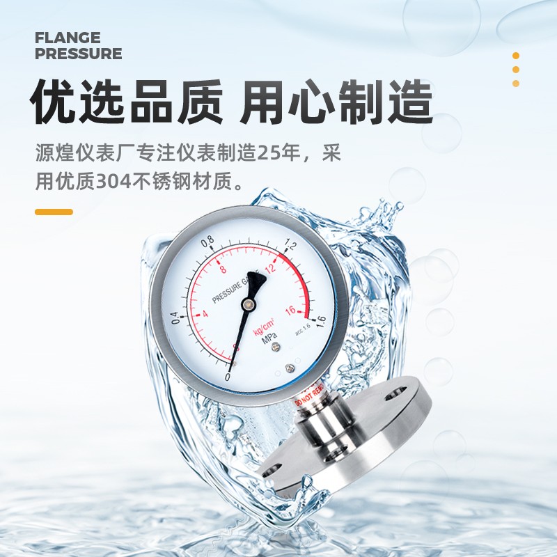 YTP100MF 304不锈钢隔膜压力表 法兰压力表 连接膜片DN25DN50四氟