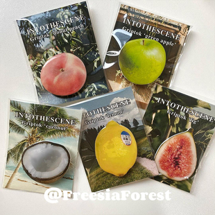 Coconut Simulation Phone Glossy Expandable Lemon Fruit Fig