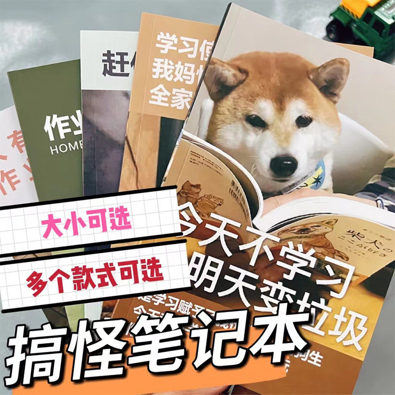 抖音同款搞怪封面B5网红作业本