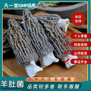 凡一堂羊肚菌大号 蘑菇 新鲜羊菌肚菌菇菇类 道地选材可无痕发货