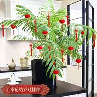 Lucky Knot + маленький фонарь (40 упаковок)