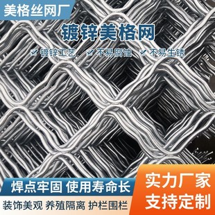 镀锌美格网养殖隔离围网阳台窗户防盗养殖防逃铁丝网菱形焊接狗笼