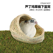 芦丁鸡下蛋窝草编孵化窝丁丁鸡迷你鹌鹑保暖躲避屋稻草手造景用品