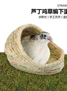 芦丁鸡下蛋草编孵化迷你鹌鹑保暖