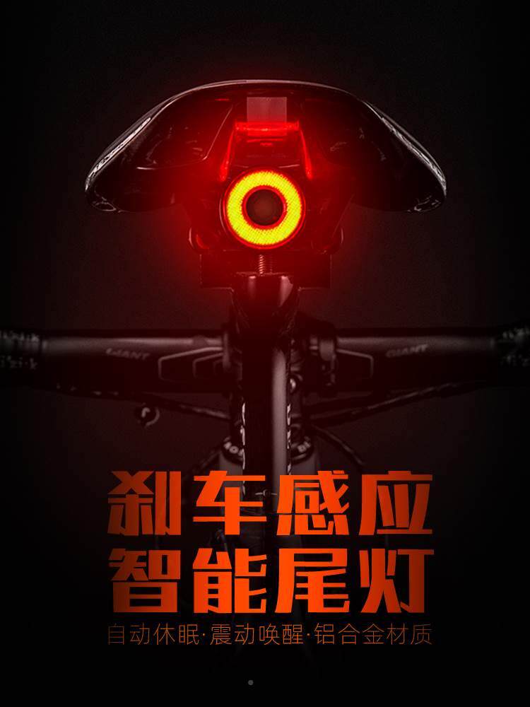 电动车夜骑灯公路自行车灯夜骑灯Te-C快充超亮光圈强光长续航