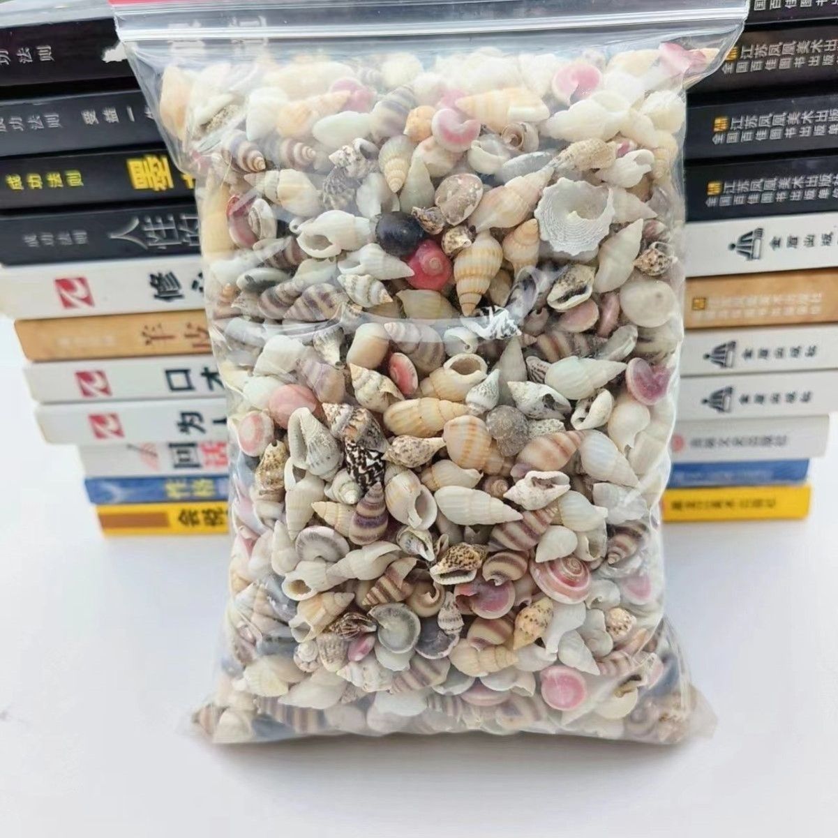 天然真贝壳海螺迷你小贝壳装饰品手工diy贝壳相框收纳盒鱼缸造景