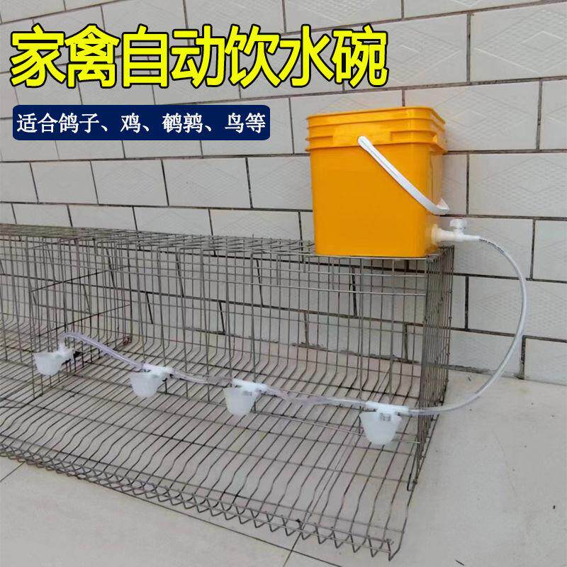 家禽自动饮水器给水喝水碗喂水槽农村家用养殖鸡鸭鹅鹌鹑鸽子鸟类