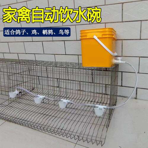 家禽自动饮水器给水喝水碗喂水槽农村家用养殖鸡鸭鹅鹌鹑鸽子鸟类