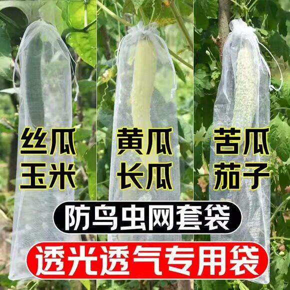 丝瓜黄瓜苦瓜套袋纱袋防虫专用网袋水果葡萄番茄枇杷瓜果保护袋子