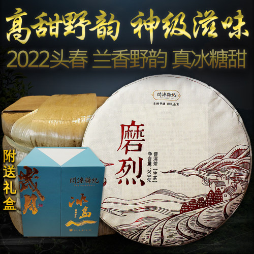 磨烈古树春茶冰岛生普5饼茶整提