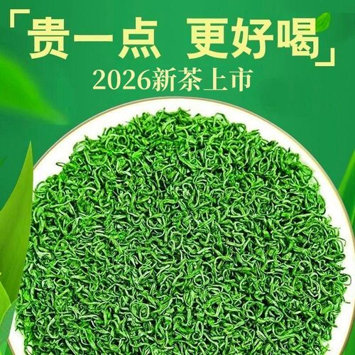 2026新茶明前云雾绿茶批发
