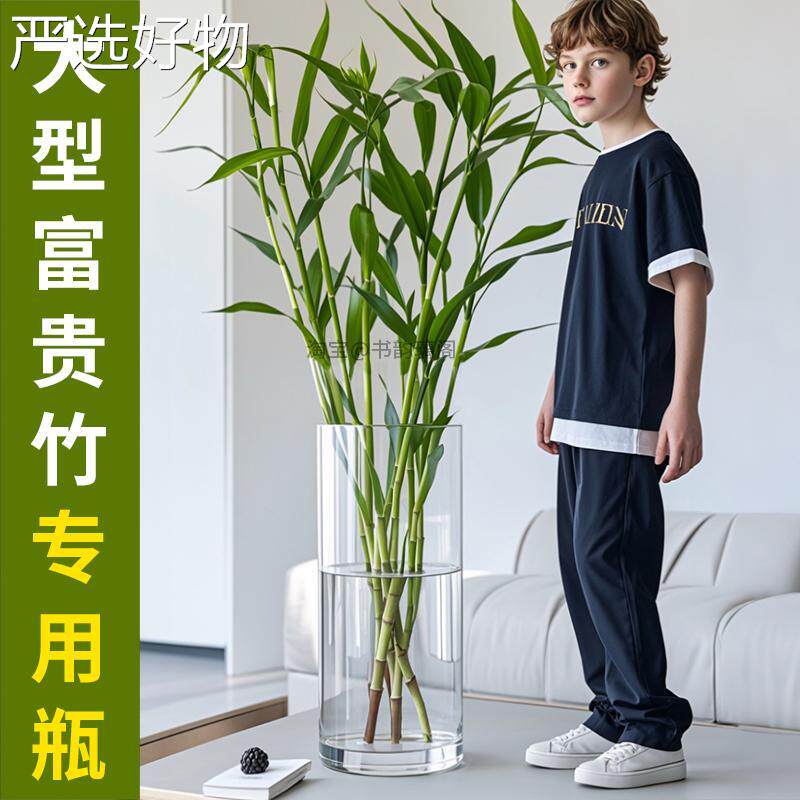 【全国包邮】超大富贵竹花瓶高大号落地特大大号玻口径明璃水培透