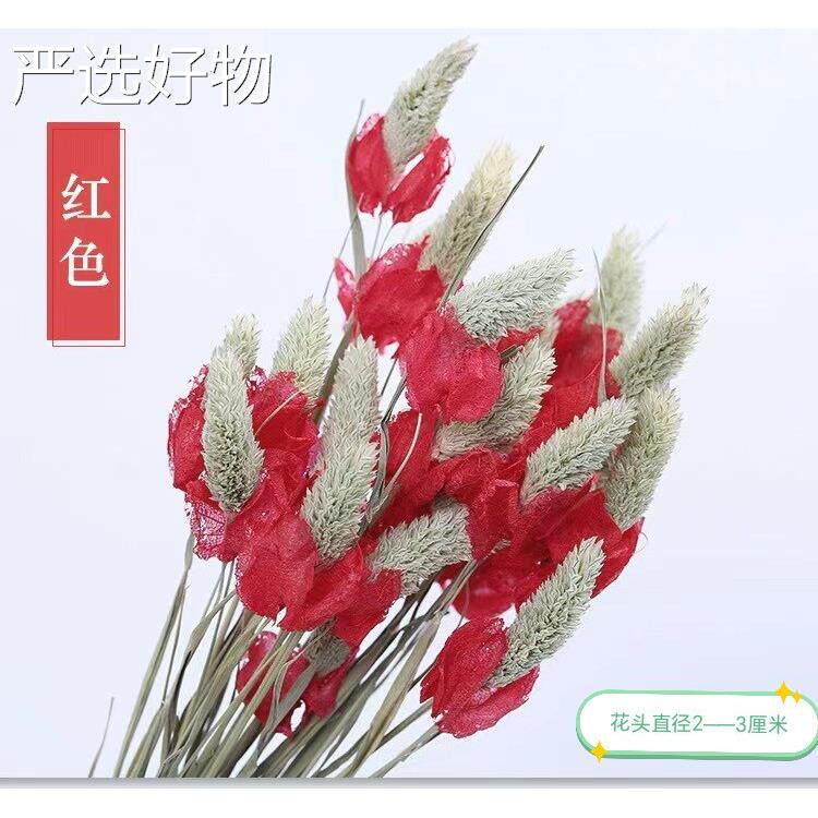 【全国包邮】搭配云南燥花真花家居高装饰干插花束餐桌瓶件客厅满