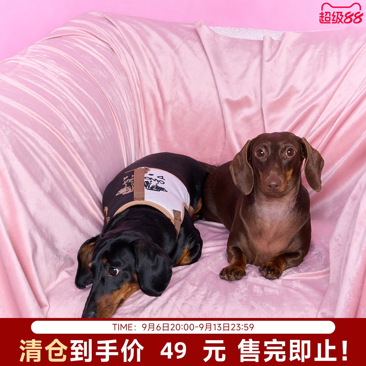 【陈伟霆】ROSYDOEDIAN X CANOTWAIT_宠物胸背牵引绳套装小型宠物