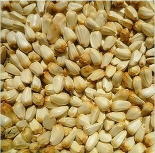 买3送1！龙猫零食仓鼠补充营养磨牙红花籽红花子谷类20g种子瘦果