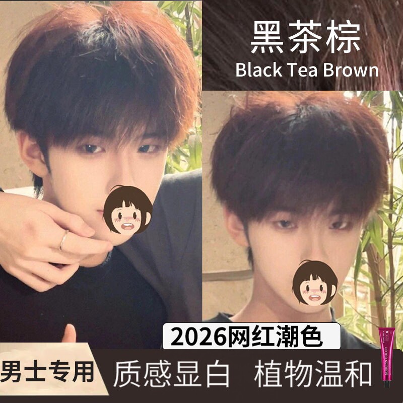 黑茶棕染发剂2026染发膏流行色男士专用植物自己在家染免漂蜜茶棕