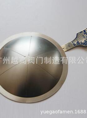 上海朗晏圆形平板开缝型爆破片PFTA防爆片卫生级泄爆板碳钢夹持器