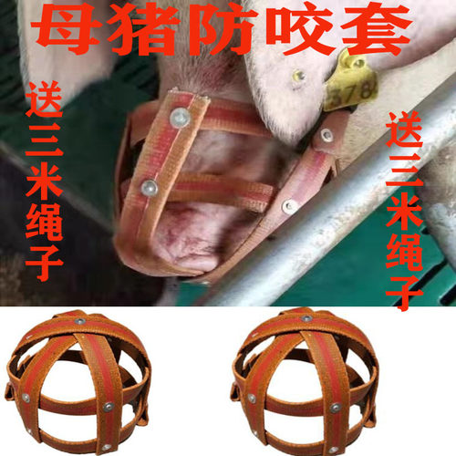 母猪嘴笼套猪嘴嘴套小猪崽架牛马